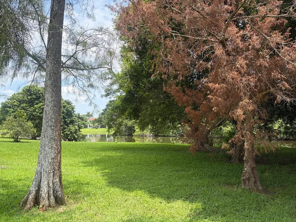 1551 S CLUB DRIVE Wellington, FL 33414