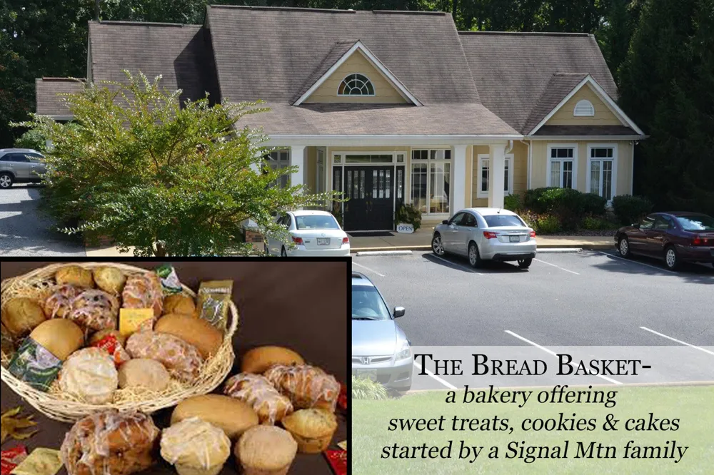 2626 Sly Fox Lane Signal Mountain, TN 37377