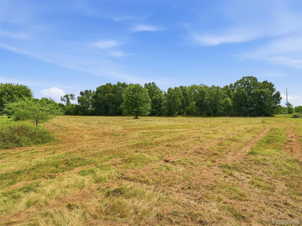 12 Mile Rd Green Oak Township, MI 48178