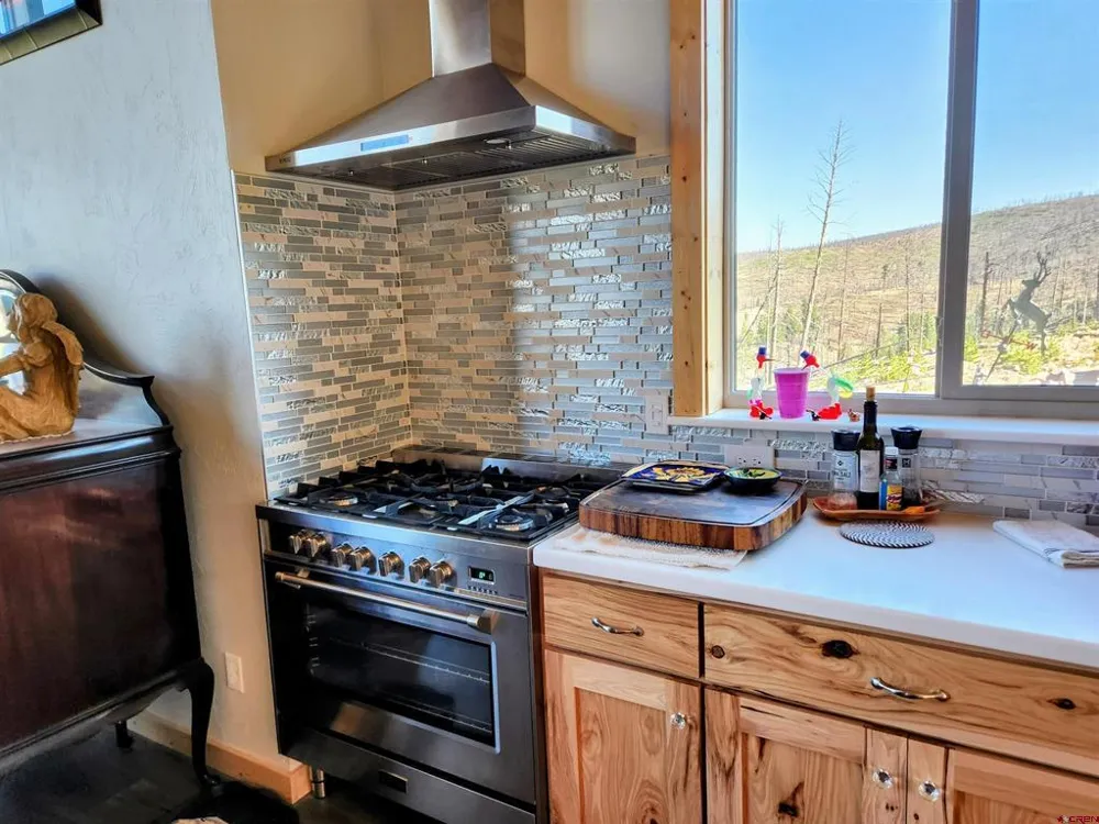 1180 Bechtel Place Fort Garland, CO 81133