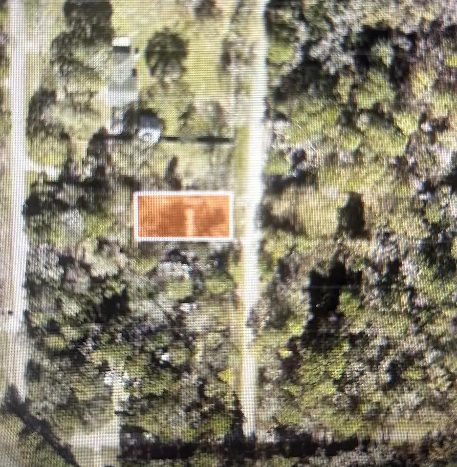 21184 Idlewild Road New Caney, TX 77357