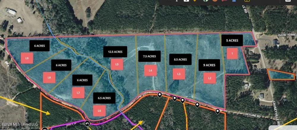 Lot 2 N Skyline Road Meridian, MS 39301