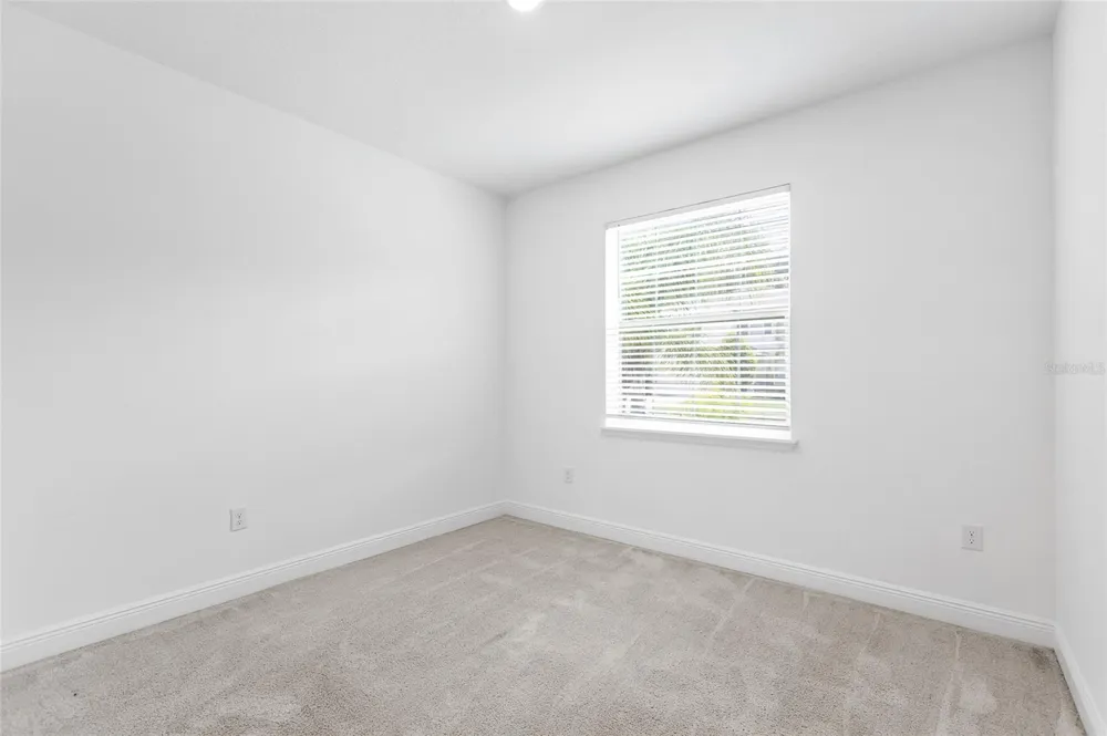 33034 SAND CREEK DRIVE Wesley Chapel, FL 33543