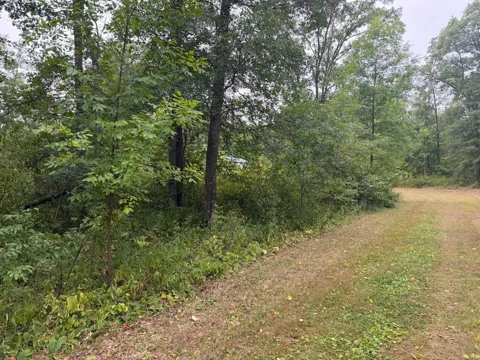 Lot 1 Whitetail