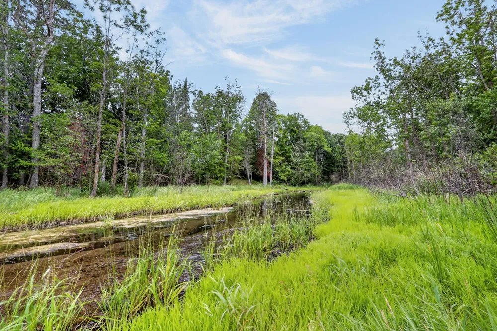 35695 Brookside Lane Cohasset, MN 55721