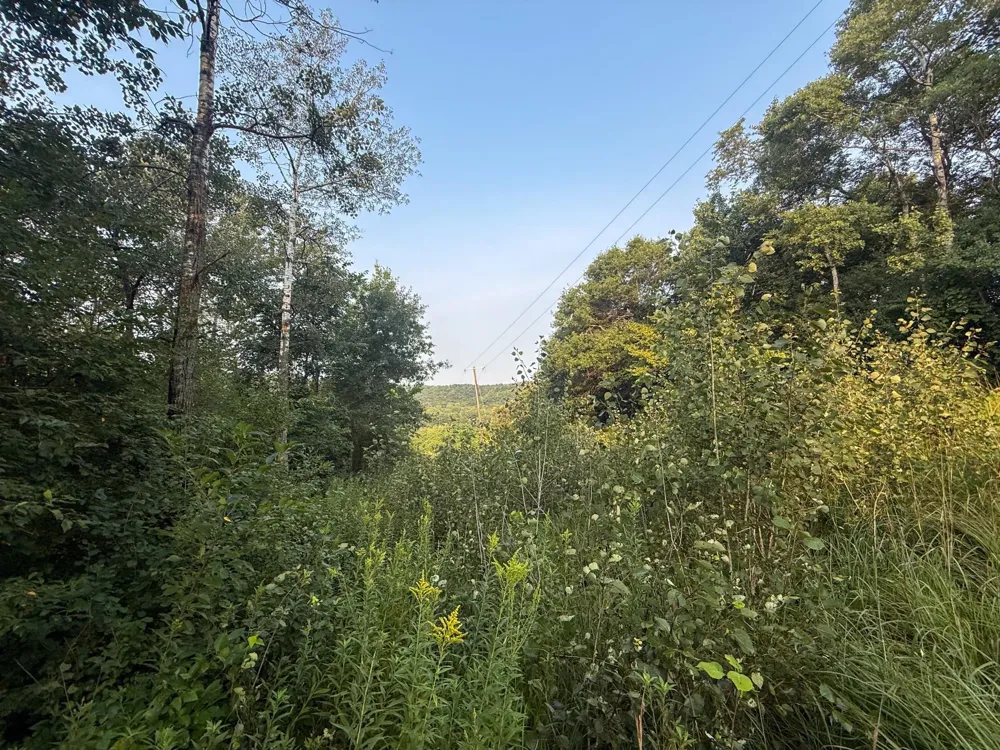tbd 299th Ave. Millville, MN 55041