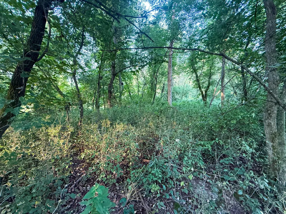 tbd 299th Ave. Millville, MN 55041