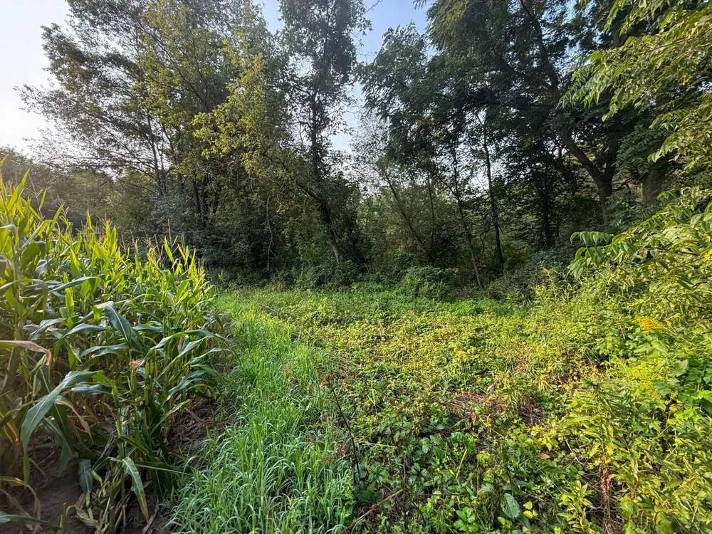 tbd 299th Ave. Millville, MN 55041