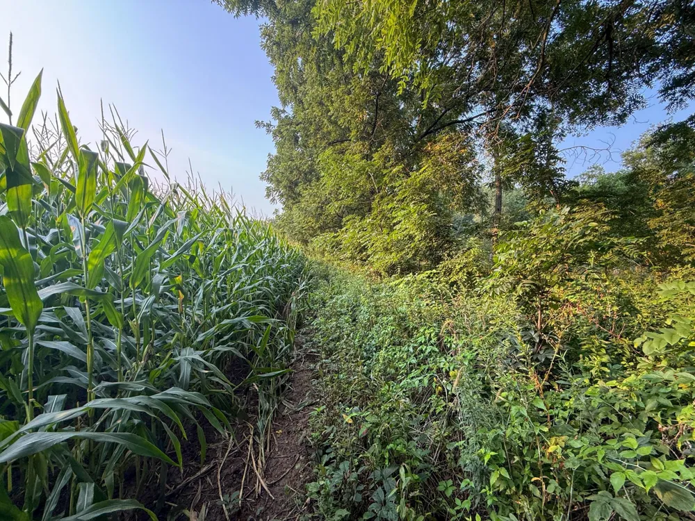tbd 299th Ave. Millville, MN 55041
