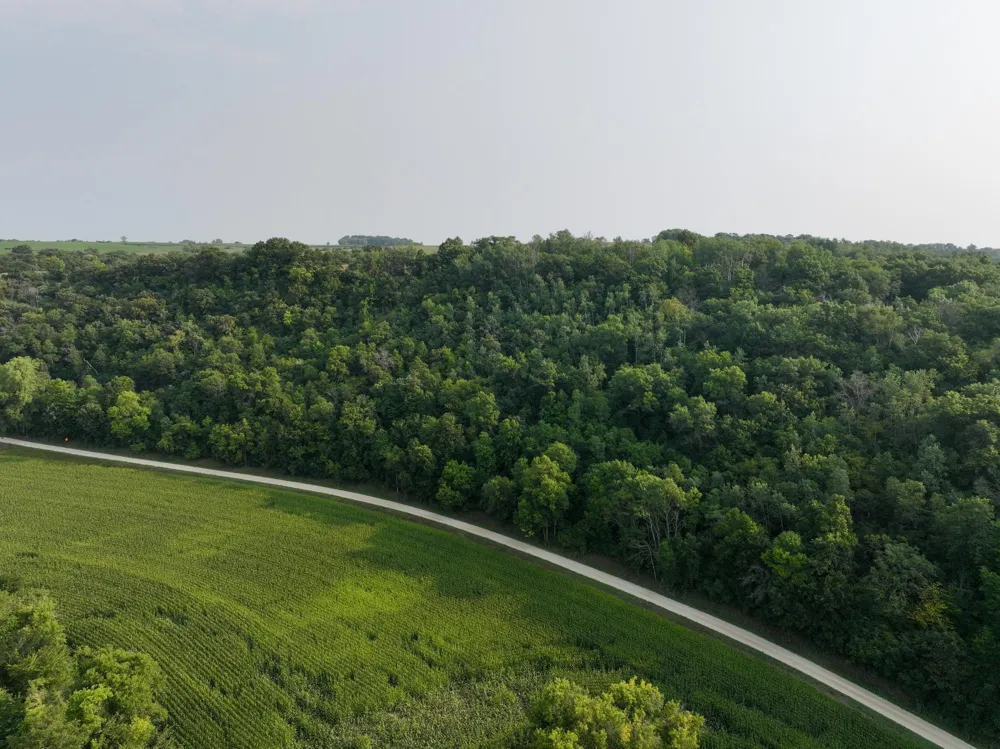 tbd 299th Ave. Millville, MN 55041