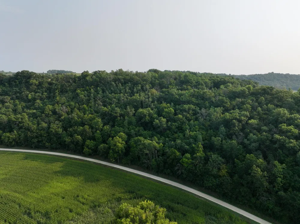 tbd 299th Ave. Millville, MN 55041