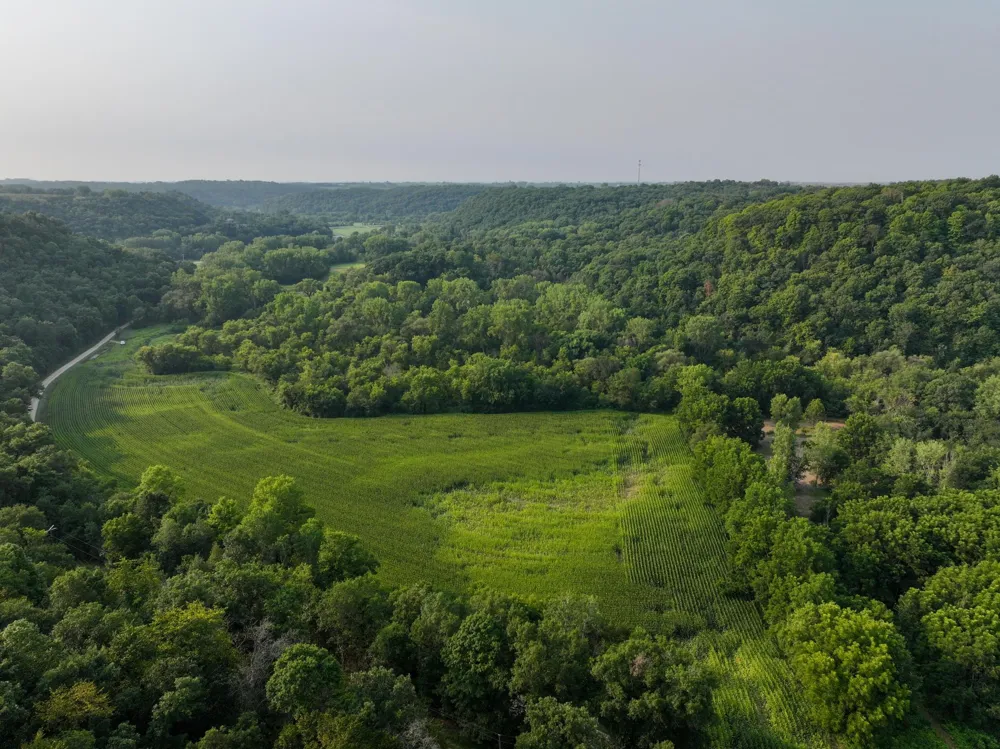 tbd 299th Ave. Millville, MN 55041