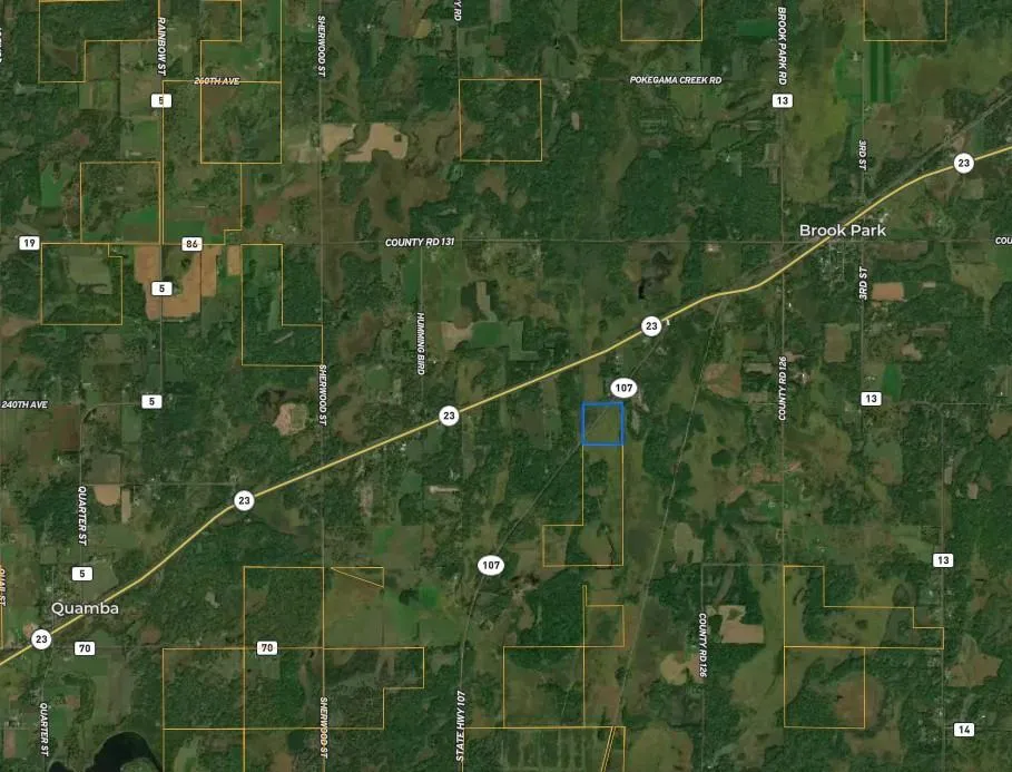 0 State Hwy 107 Brook Park, MN 55007