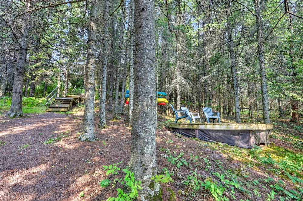 39343 Cedar Heights Road Bigfork, MN 56628