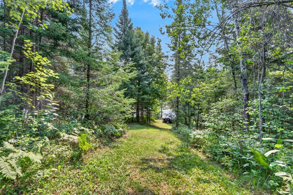 39343 Cedar Heights Road Bigfork, MN 56628