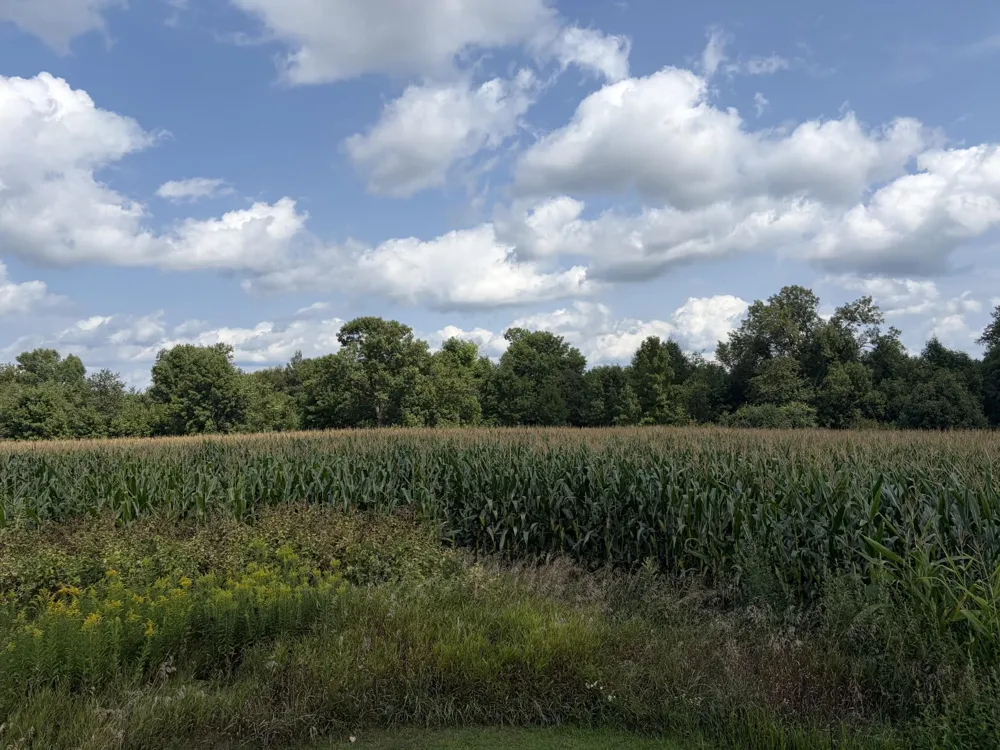 73 45th Avenue Clayton, WI 54004