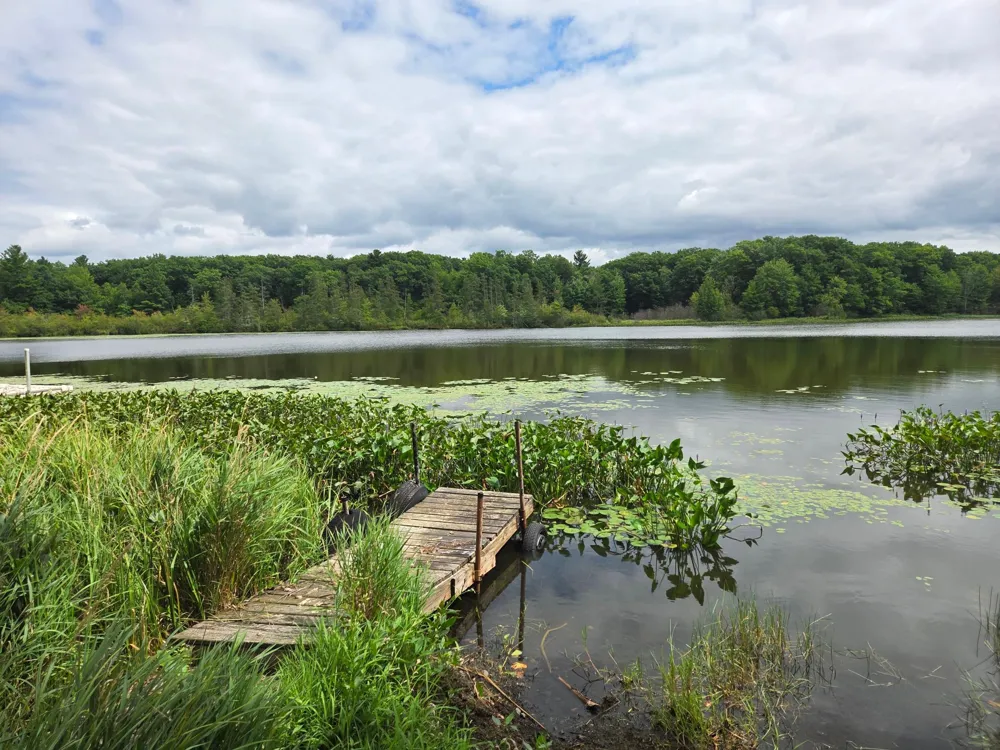 2979 12th Street Barronett, WI 54813