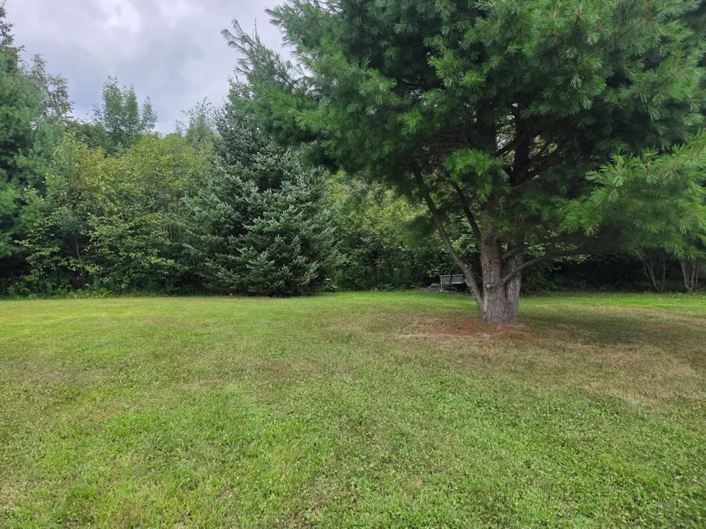 2979 12th Street Barronett, WI 54813