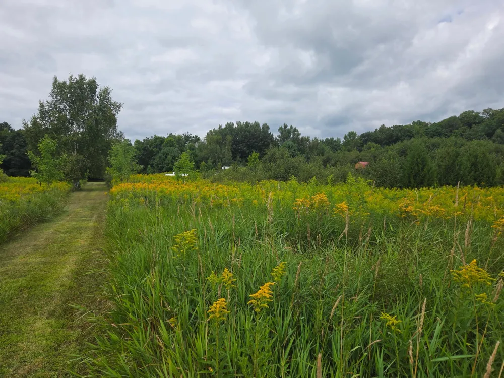 2979 12th Street Barronett, WI 54813