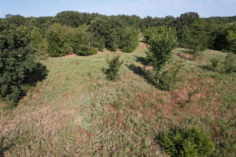 1799 County Road 4128 Cumby, TX 75433