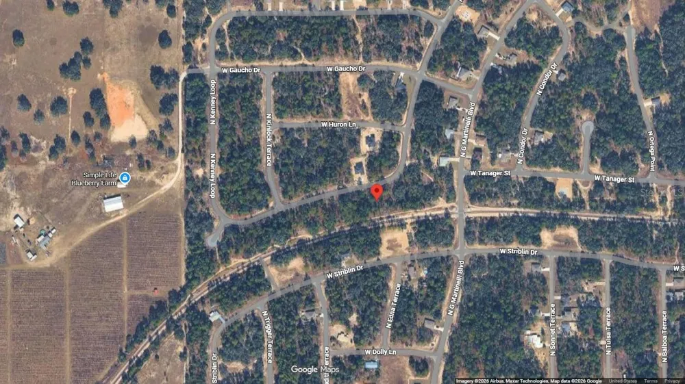 11351 KENNEY LOOP Citrus Springs, FL 34433