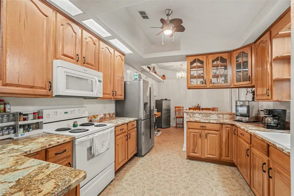 9172 KEDRONE DRIVE Webster, FL 33597