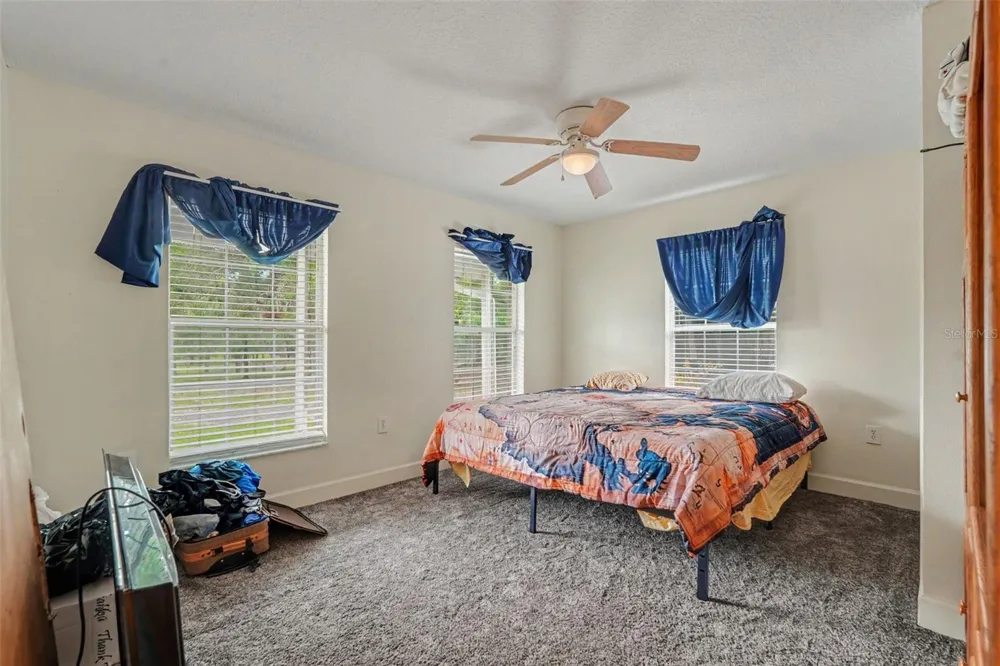 9172 KEDRONE DRIVE Webster, FL 33597