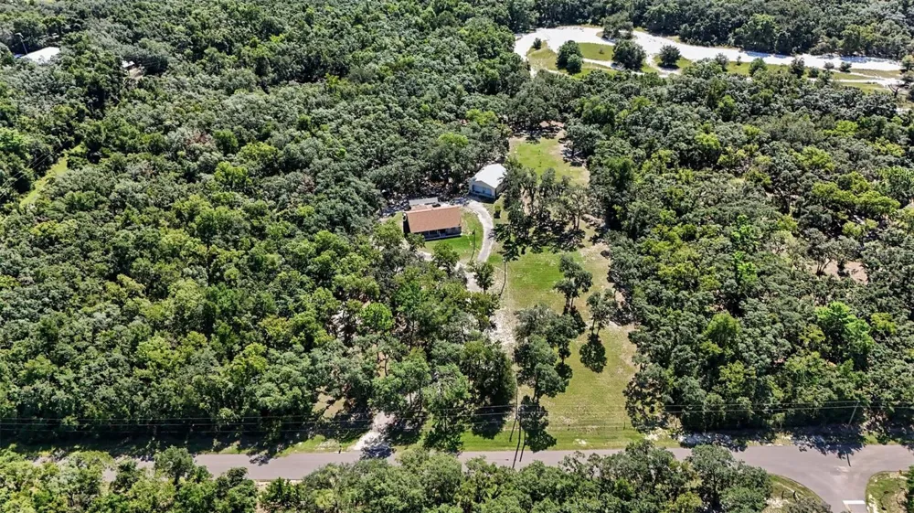 9172 KEDRONE DRIVE Webster, FL 33597
