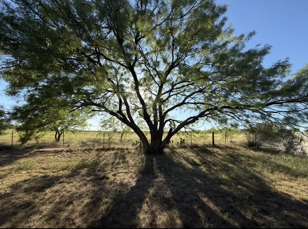 7710 US Highway 84 Lawn, TX 79530