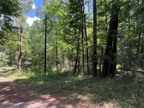 415 Rio Vista Drive
