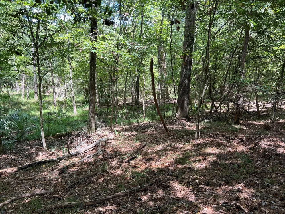 415 Rio Vista Drive Livingston, TX 77352