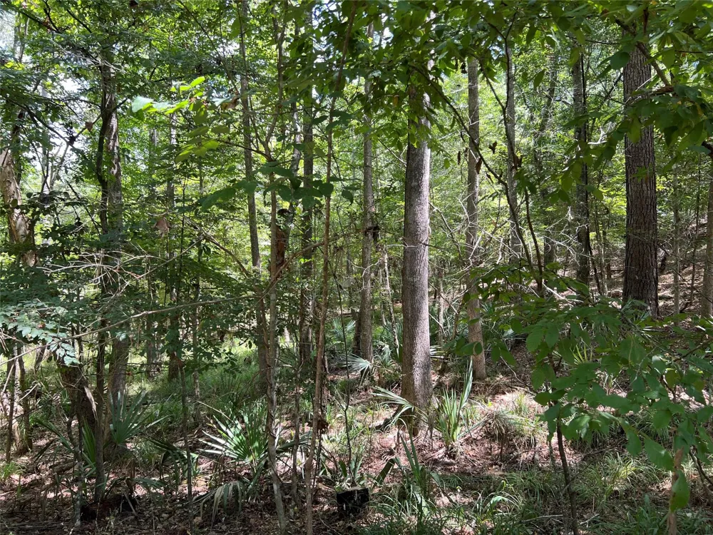 415 Rio Vista Drive Livingston, TX 77352