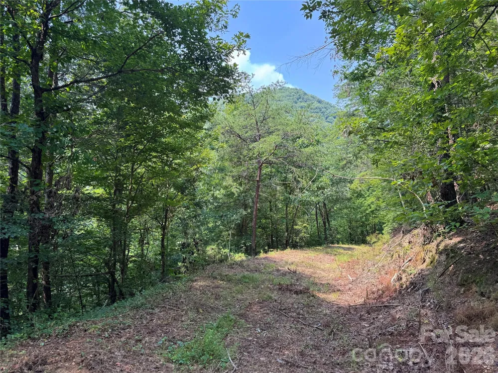 6080 River Road Hot Springs, NC 28743