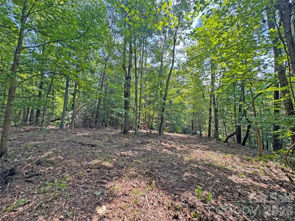 6080 River Road Hot Springs, NC 28743