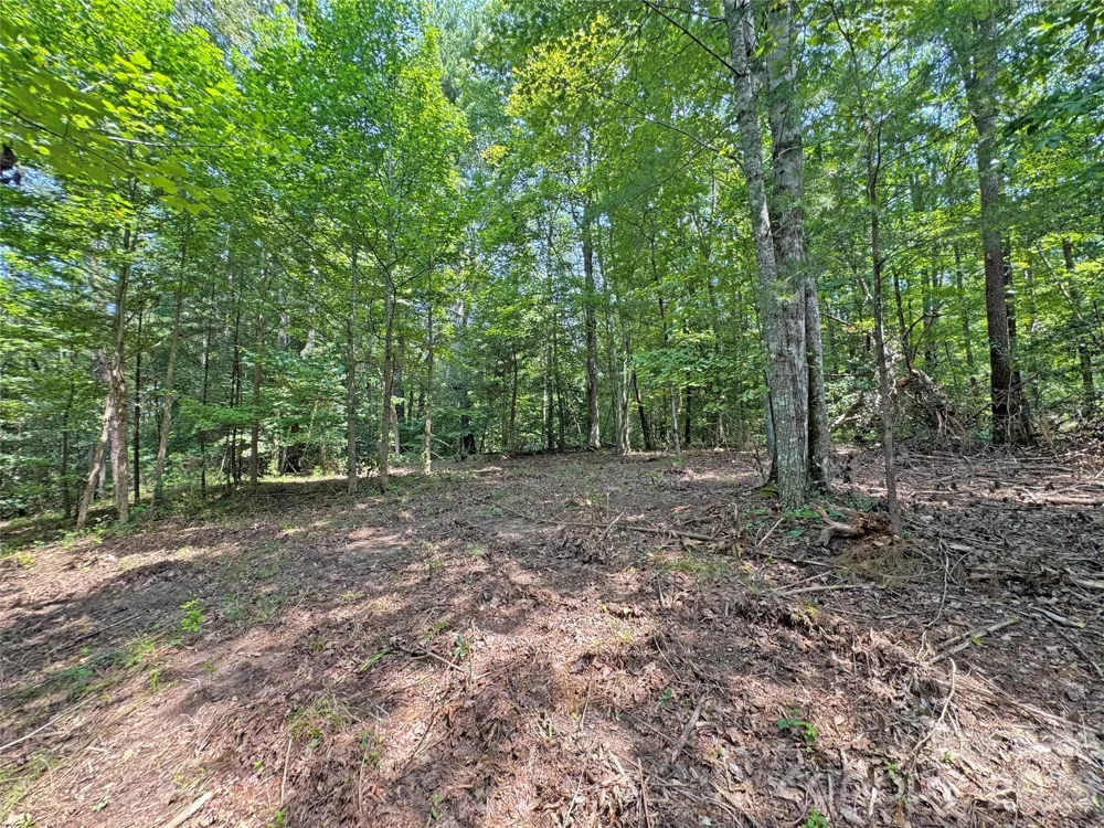 6080 River Road Hot Springs, NC 28743