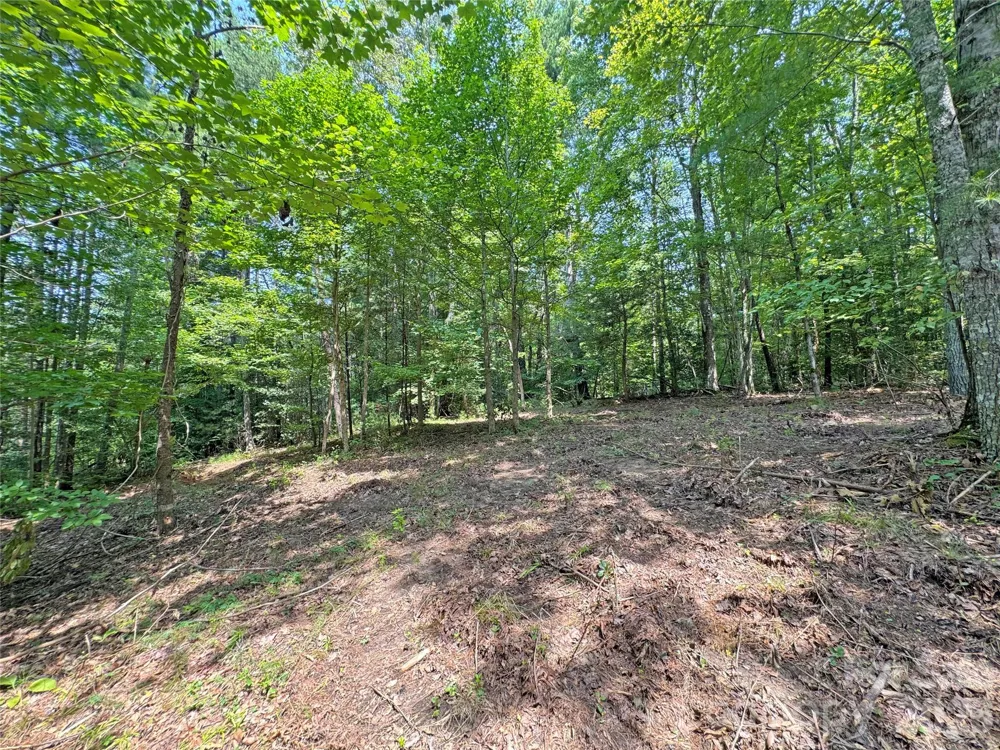 6080 River Road Hot Springs, NC 28743