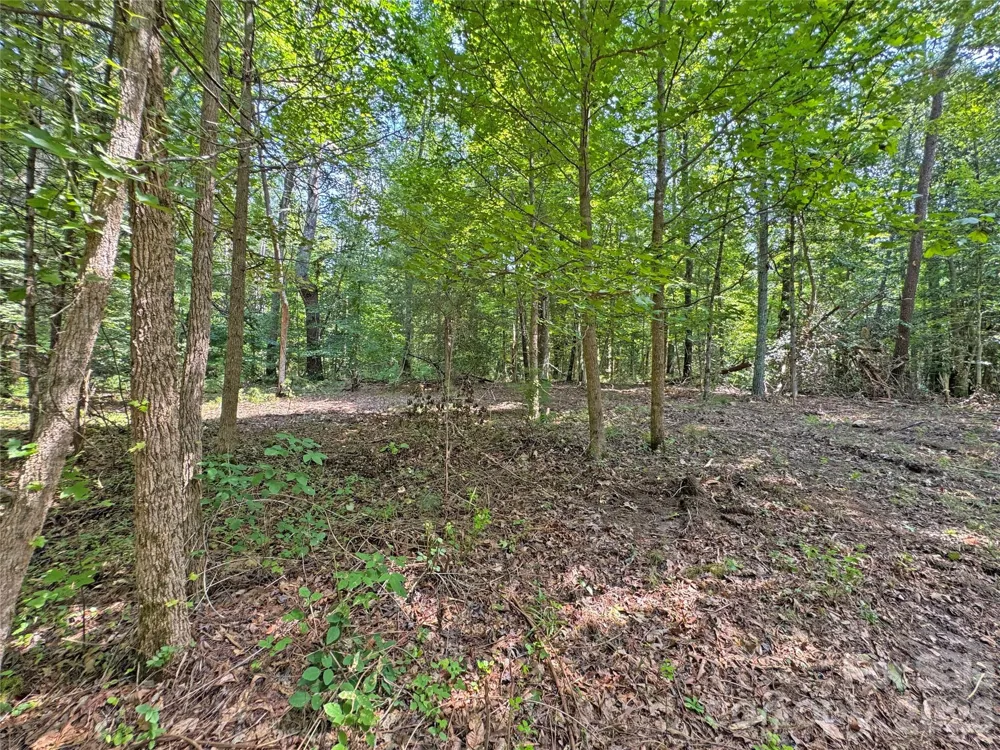 6080 River Road Hot Springs, NC 28743