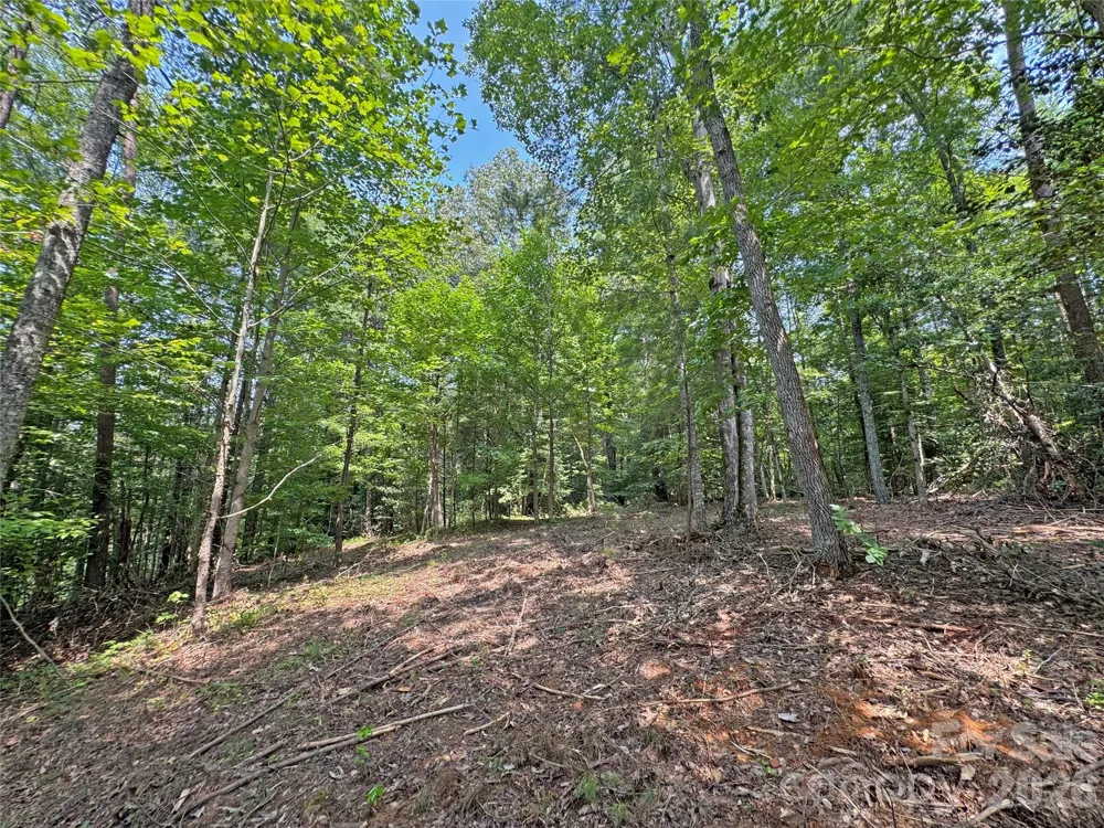 6080 River Road Hot Springs, NC 28743