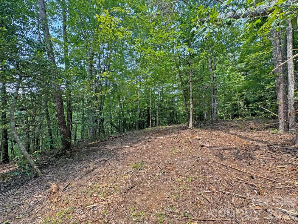 6080 River Road Hot Springs, NC 28743