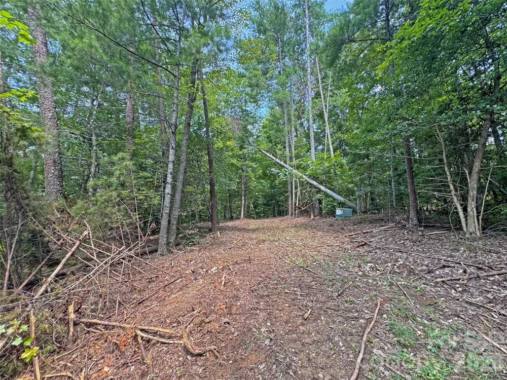 6080 River Road Hot Springs, NC 28743