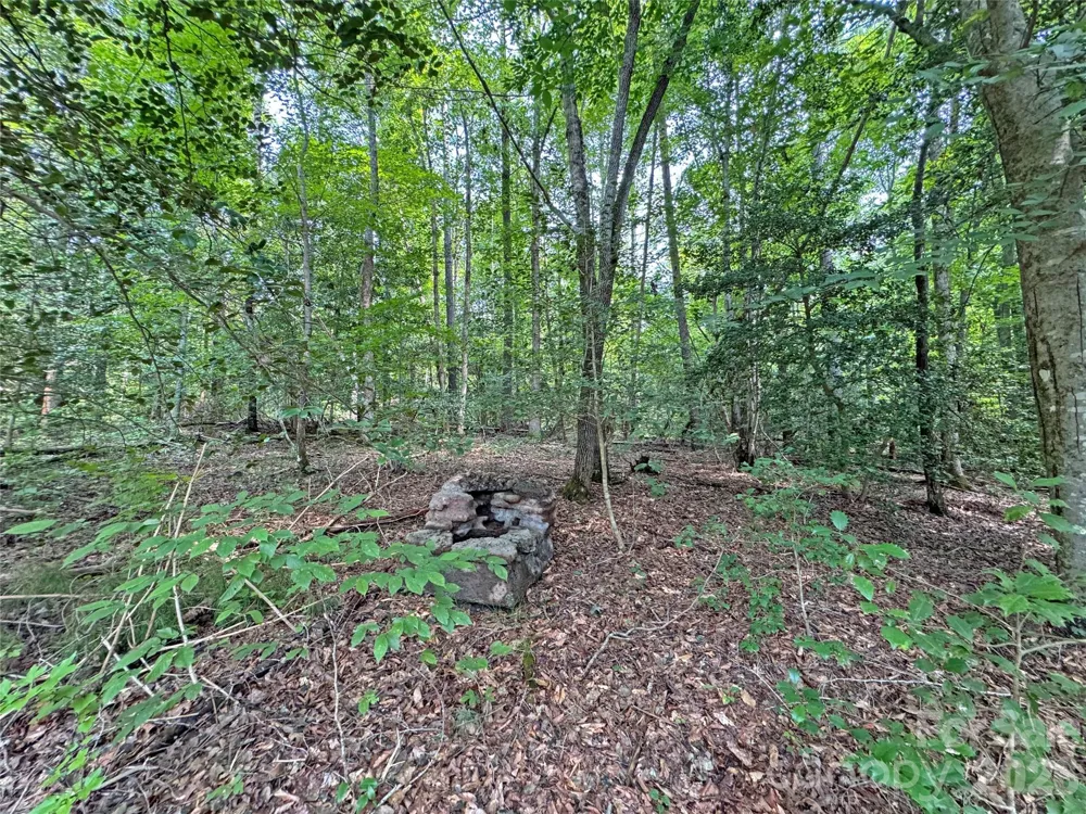 6080 River Road Hot Springs, NC 28743