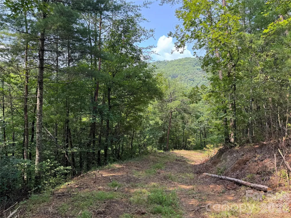 6080 River Road Hot Springs, NC 28743