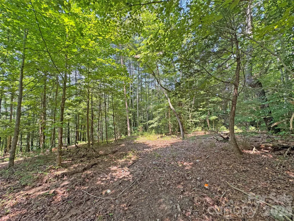 6080 River Road Hot Springs, NC 28743