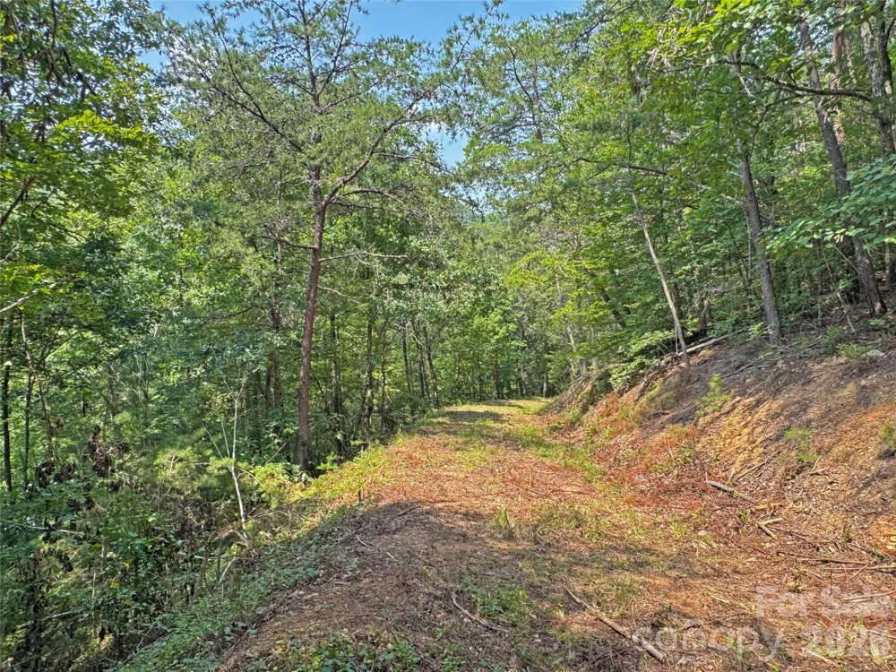 6080 River Road Hot Springs, NC 28743
