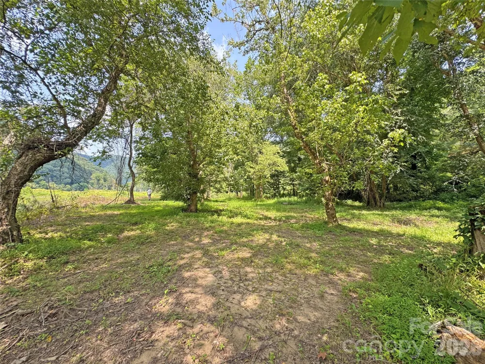 6080 River Road Hot Springs, NC 28743