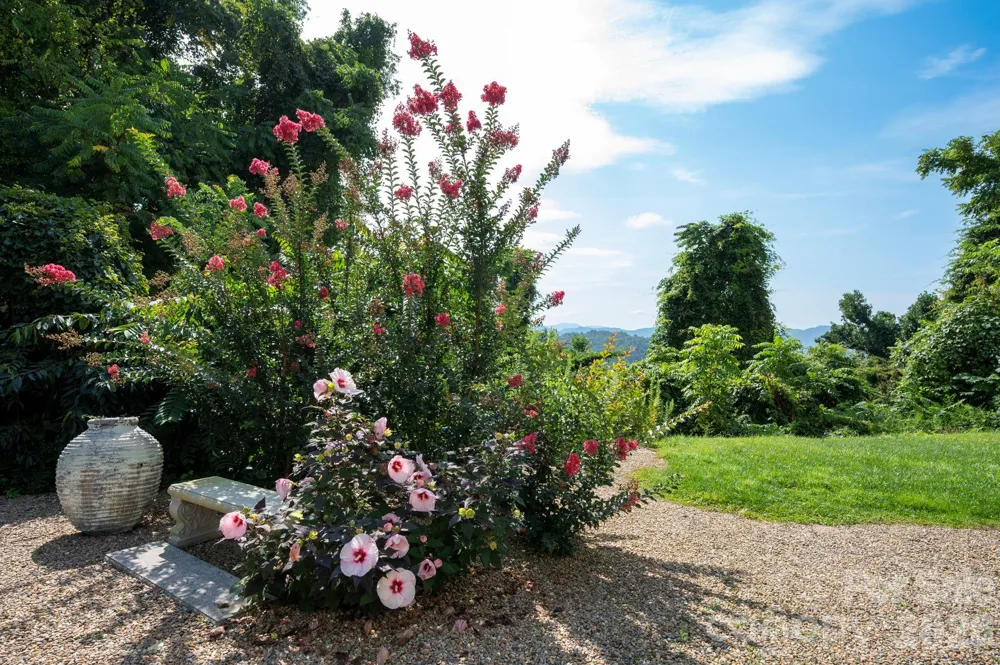 647 Town Mountain Road #105 Asheville, NC 28804