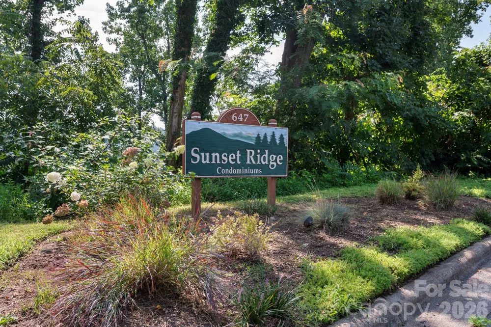 647 Town Mountain Road #105 Asheville, NC 28804