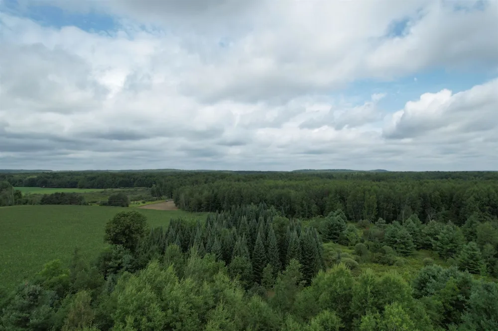 2551 E Simpson Road Norwich Township, MI 49651