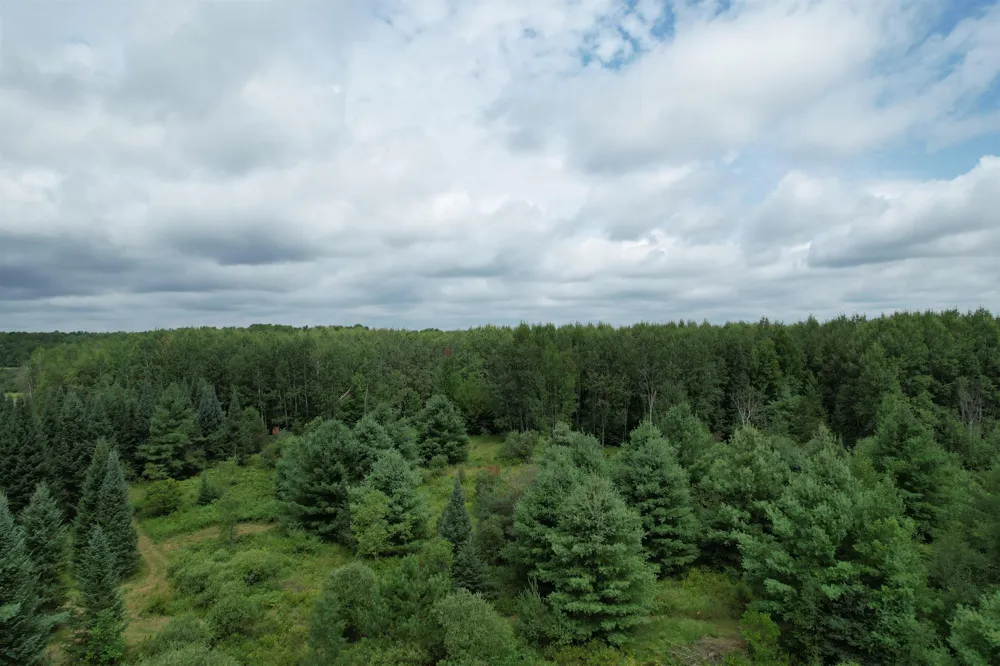 2551 E Simpson Road Norwich Township, MI 49651