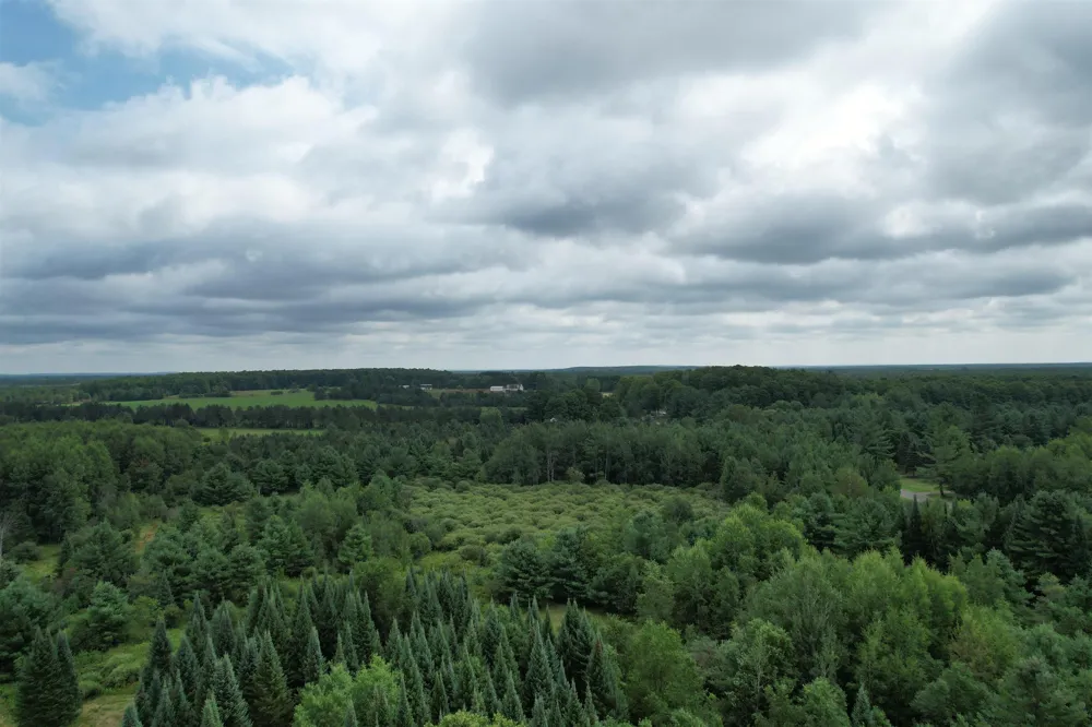 2551 E Simpson Road Norwich Township, MI 49651